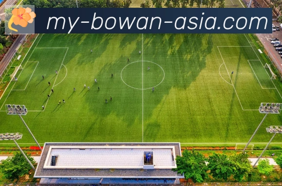 博万体育荣誉